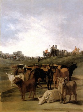 Toros en la dehesa