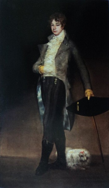 Javier Goya y Bayeu
